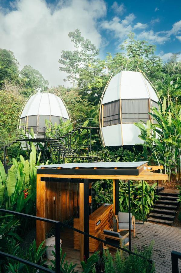 Art Villas Costa Rica, Villas & Glamping ウビタ エクステリア 写真
